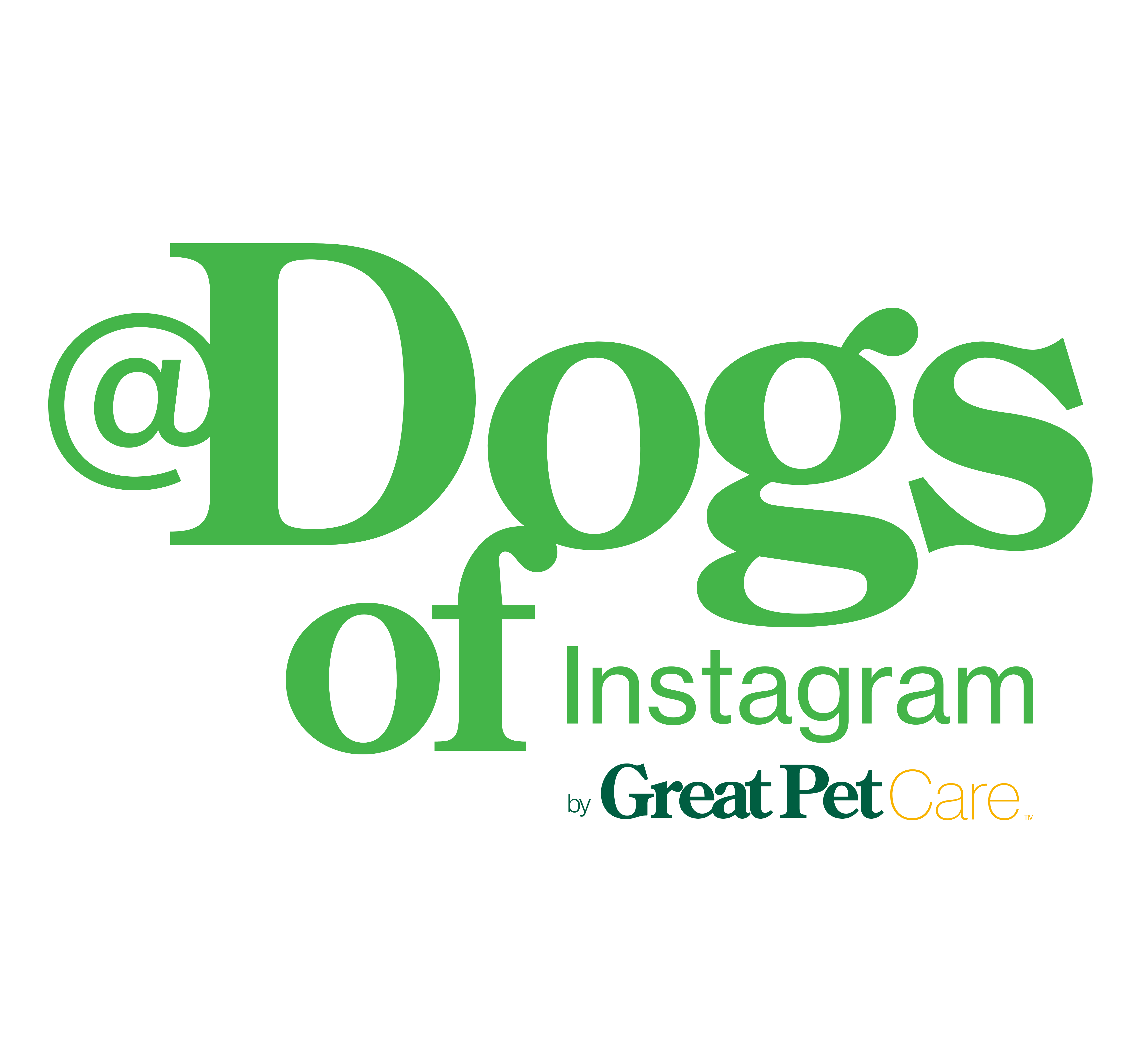 @dogsofinstagram by Great Pet Care
